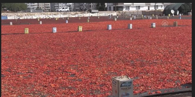 '�sot re�eli' sezonu ba�lad�