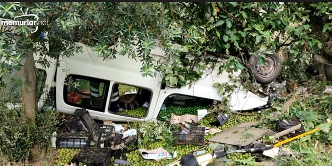 Bursal� �ift�i pazara erik satmaya giderken ge�irdi�i kazada �ld�